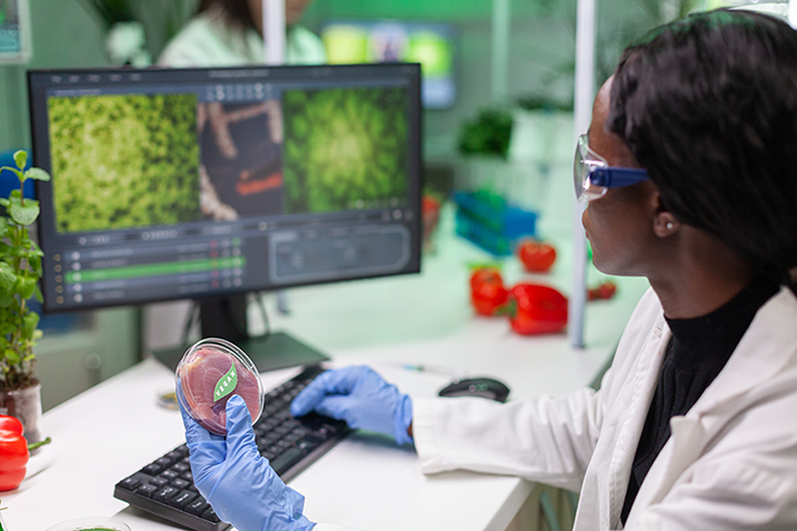 Chemist holding sample of plant based meat