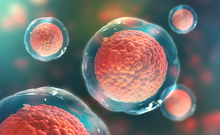 3d rendering of human body cells