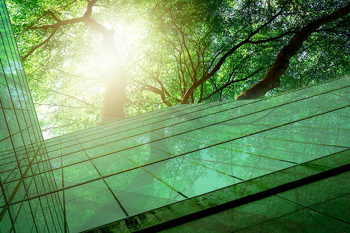 Building windows reflecting sunshine and surrounding greenery